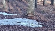 IMG_20210224_132549.jpg