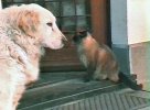 vlcsnap-7334-08-29-01h23m13s374.jpg