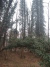20210222_172123.jpg