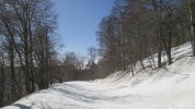 IMG_5964.JPG