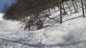 IMG_5990.JPG