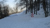 IMG_6005.JPG