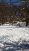 20210228_130929.jpg