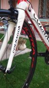 20201106_165334.jpg