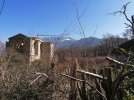 IMG_20210228_105526.jpg