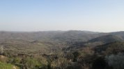 IMG_6015.JPG