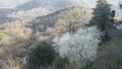 IMG_6016.JPG