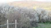 IMG_6027.JPG