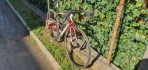 Cannondale Synapse wmn, Full Carbon