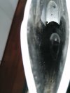 IMG_20210303_154113.jpg