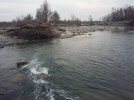 20210303_145059.jpg