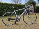 Specialized Roubaix taglia M 54 carbon