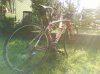 DSC00755.jpg