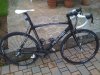 santini 011.jpg santini 011.jpg