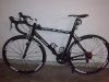 Giant TCR.jpg
