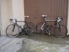 DSC05905 - Copia.jpg