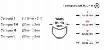 Carogna_sizes_2019.jpg