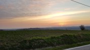 20210311_062832.jpg