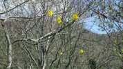 IMG_6138.JPG