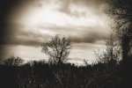 100_0044.jpg