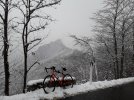 IMG-20210319-WA0014.jpg