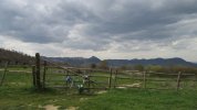 IMG_6174.JPG
