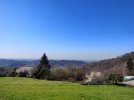 IMG_20210320_110241-01.jpeg