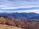 IMG_20210321_132513-01.jpeg