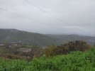 IMG20210321083742.jpg