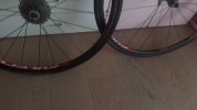 20210323_112458.jpg
