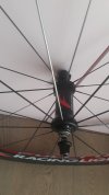 20210323_112558.jpg