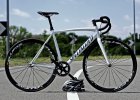 Specialized Langster Scatto Fisso