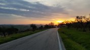 20210327_061719.jpg
