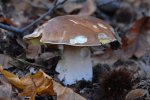 DSC_4989.JPG DSC_4989.JPG