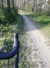 IMG_20210329_181514.jpg