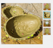 1617106574976.png