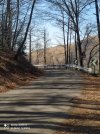 IMG_20210330_110318.jpg