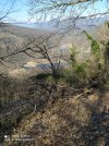 IMG_20210330_110650.jpg