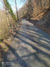 IMG_20210330_110955.jpg