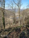 IMG_20210330_111000.jpg