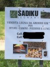 sadiku.jpg