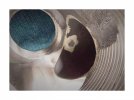 IMG_20210401_102430_164.jpg