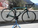 Trek Domane 5.9