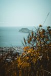 100_0039.jpg