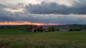 20210415_062949.jpg