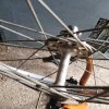 20200926_105718.jpg