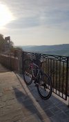 20210417_074829.jpg