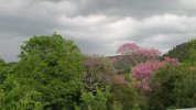 IMG_6343.JPG