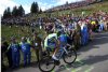 resized_Basso3.jpg