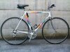 moser.jpg